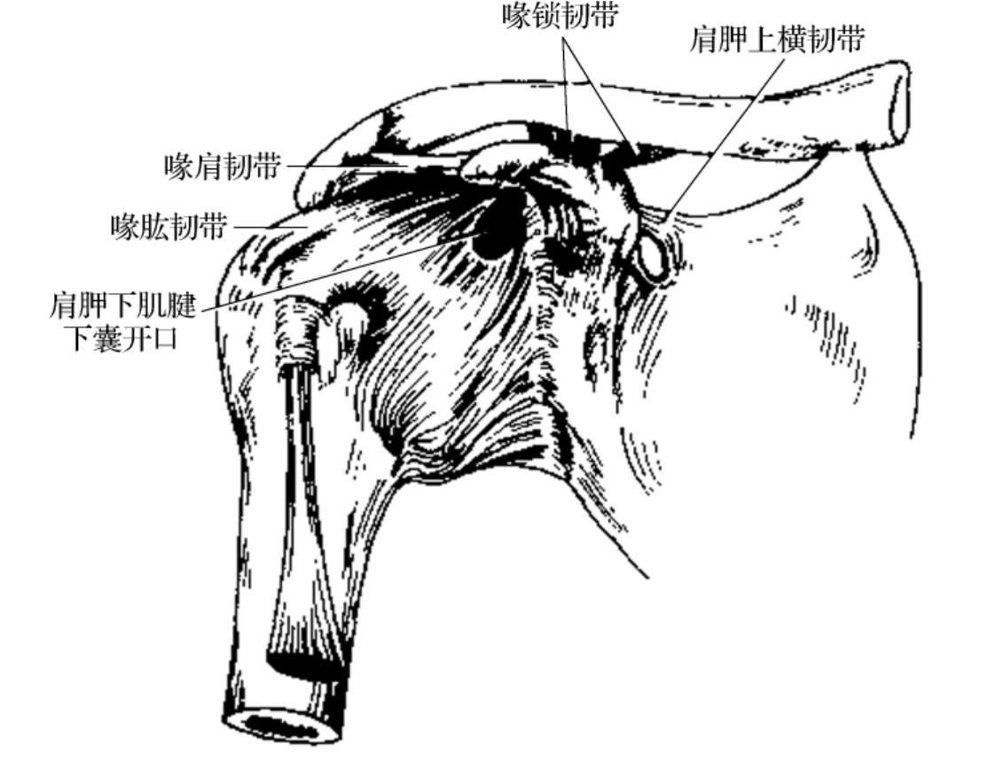 img29