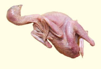 img16