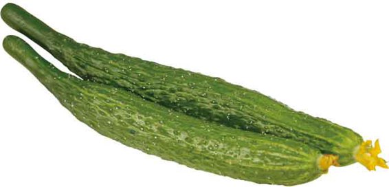 img133