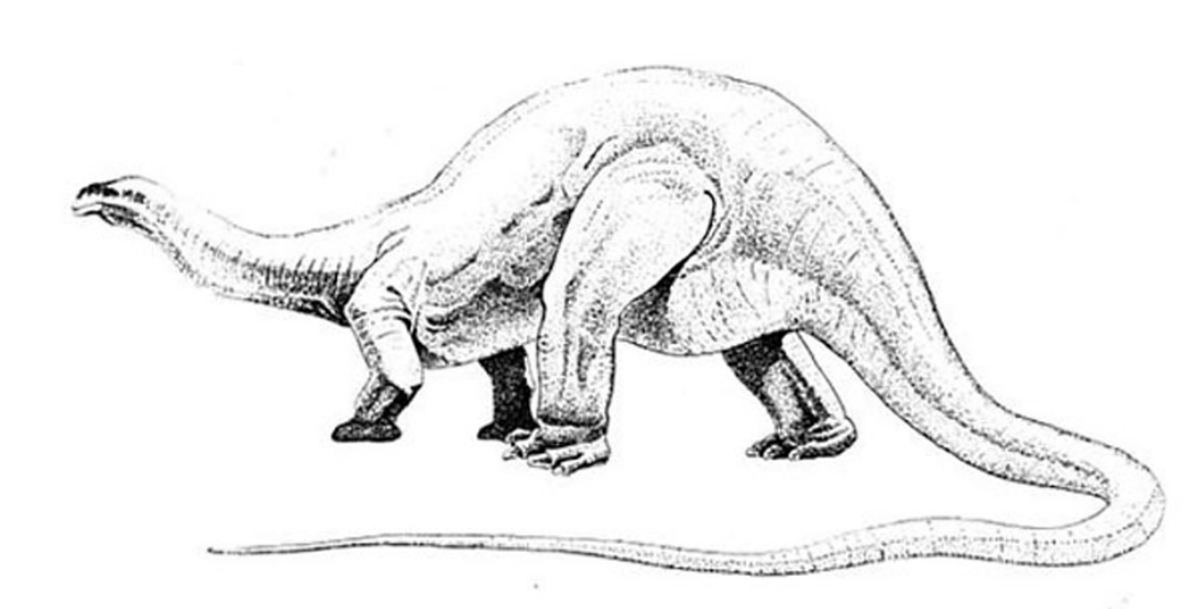 img27