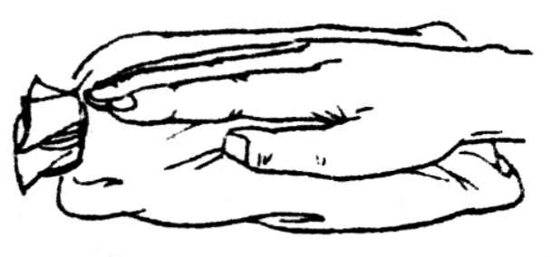 img2