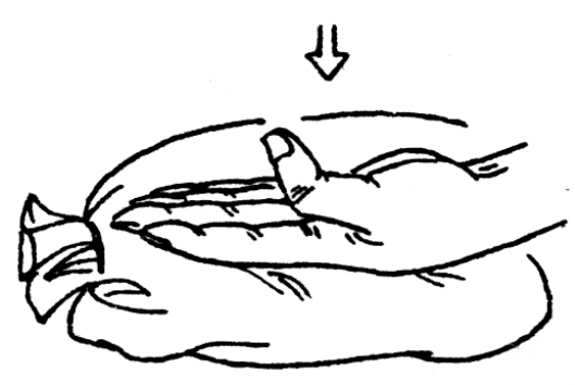 img3