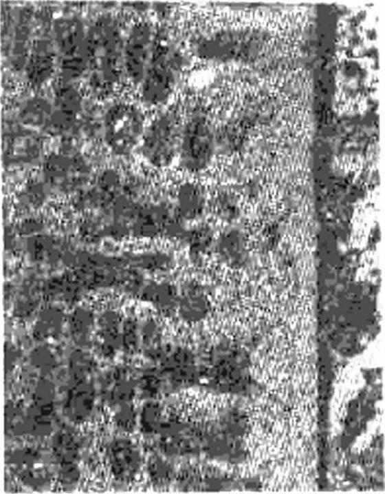 978-7-111-57031-8-Chapter06-6.jpg