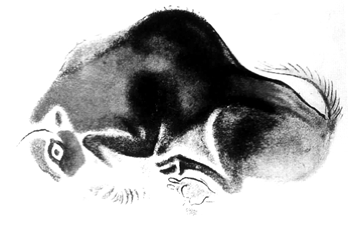 img3