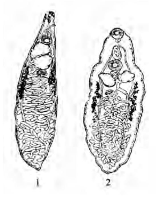 img2