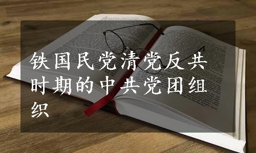 铁国民党清党反共时期的中共党团组织