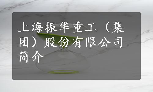 上海振华重工（集团）股份有限公司简介