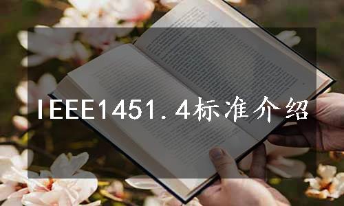IEEE1451.4标准介绍