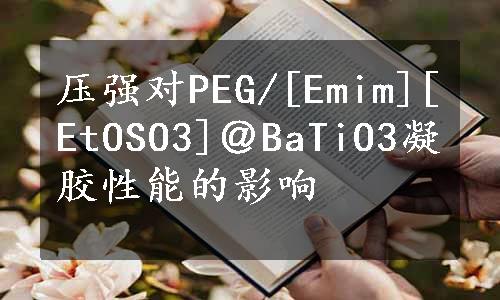 压强对PEG/[Emim][EtOSO3]＠BaTiO3凝胶性能的影响