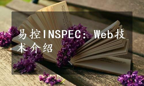 易控INSPEC：Web技术介绍