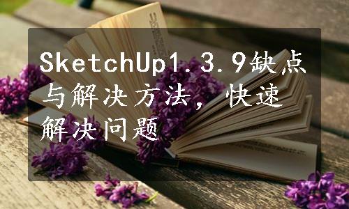 SketchUp1.3.9缺点与解决方法，快速解决问题