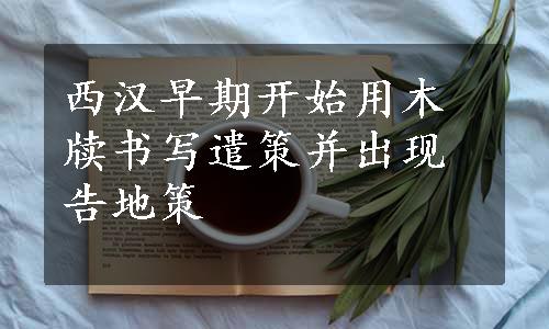 西汉早期开始用木牍书写遣策并出现告地策