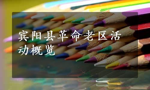 宾阳县革命老区活动概览