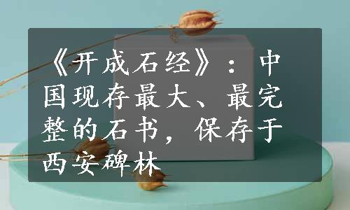 《开成石经》：中国现存最大、最完整的石书，保存于西安碑林