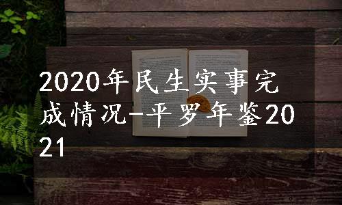 2020年民生实事完成情况-平罗年鉴2021