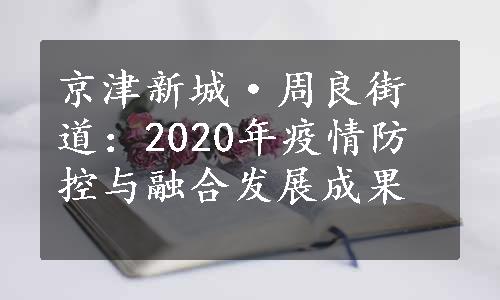 京津新城·周良街道：2020年疫情防控与融合发展成果