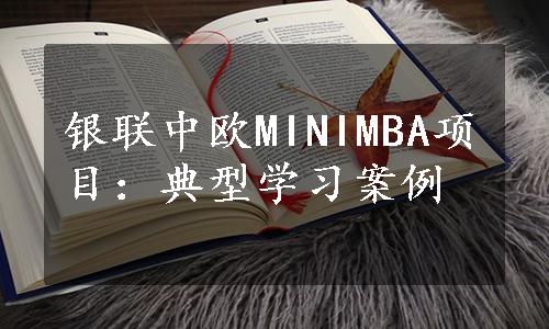 银联中欧MINIMBA项目：典型学习案例