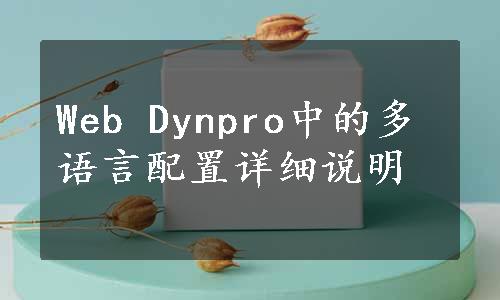 Web Dynpro中的多语言配置详细说明