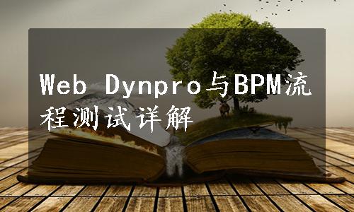 Web Dynpro与BPM流程测试详解