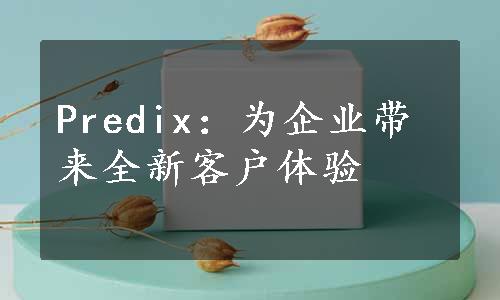 Predix：为企业带来全新客户体验