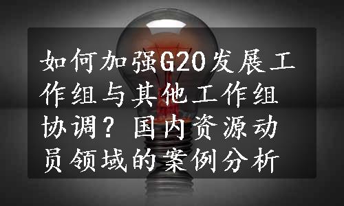 如何加强G20发展工作组与其他工作组协调？国内资源动员领域的案例分析