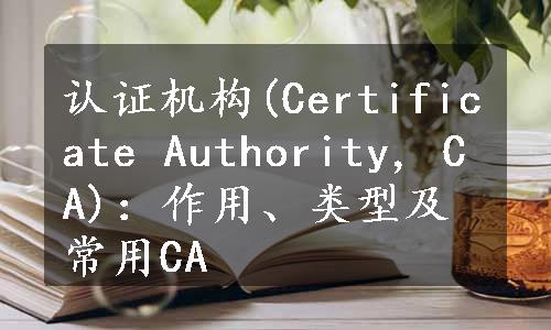 认证机构(Certificate Authority, CA)：作用、类型及常用CA
