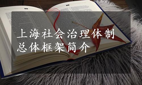 上海社会治理体制总体框架简介