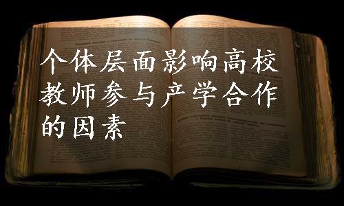 个体层面影响高校教师参与产学合作的因素