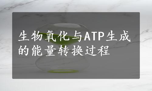 生物氧化与ATP生成的能量转换过程